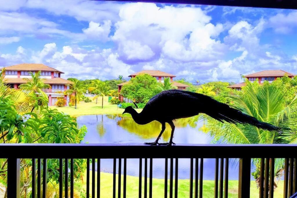 Piscinas Naturais Village Furstberger ปรายาโดฟอร์ชิ ภายนอก รูปภาพ